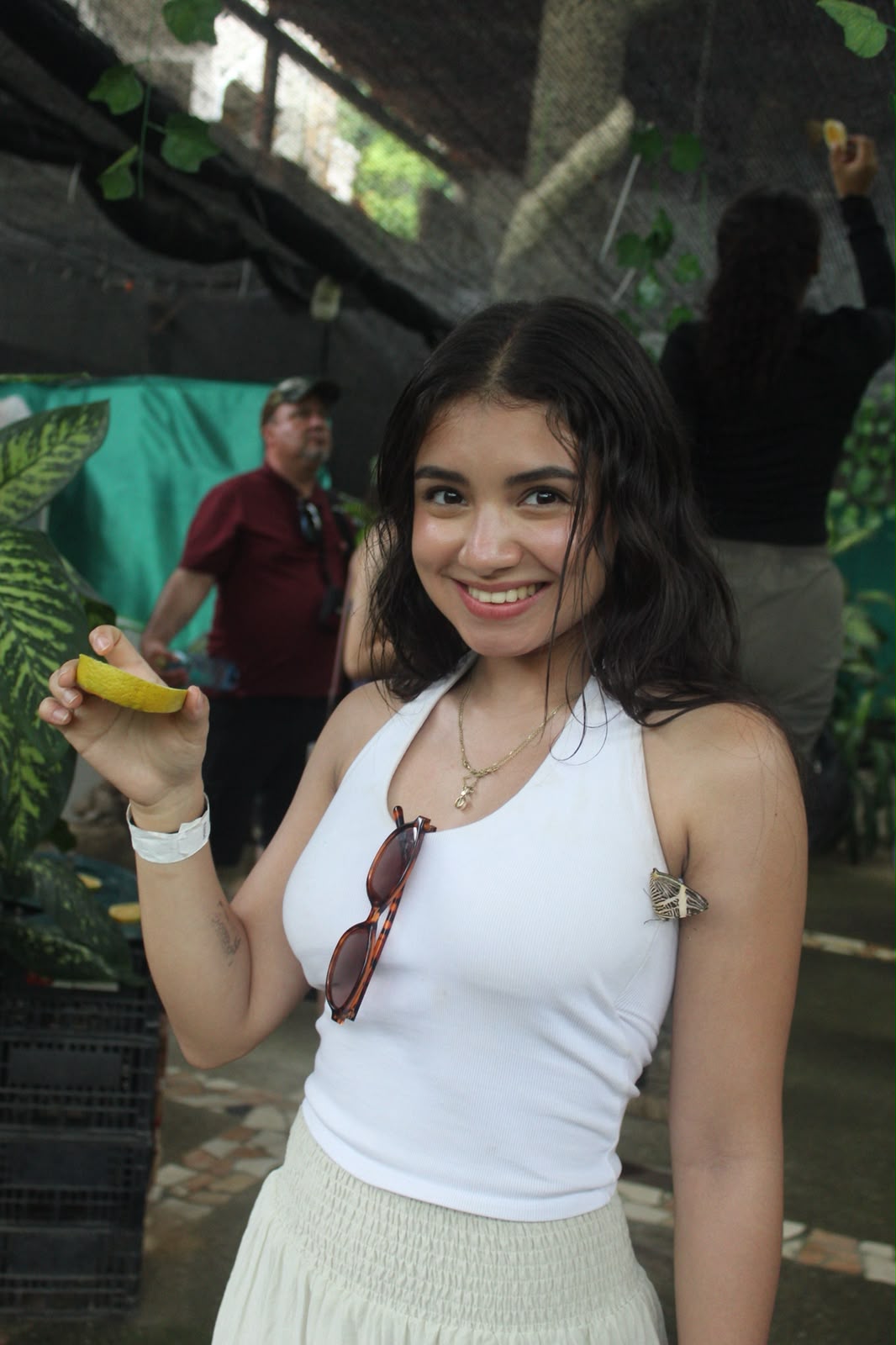Certificado de regalo para el Mariposario en Mismaloya