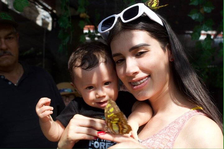 Liberación de mariposas para momentos especiales en Puerto Vallarta