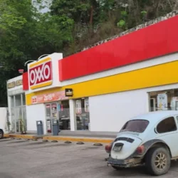 Morpho Mariposario Puerto Vallarta