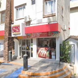 Morpho Mariposario Puerto Vallarta