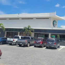Morpho Mariposario Puerto Vallarta