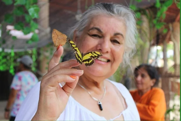 Visita al Mariposario Morpho Puerto Vallarta