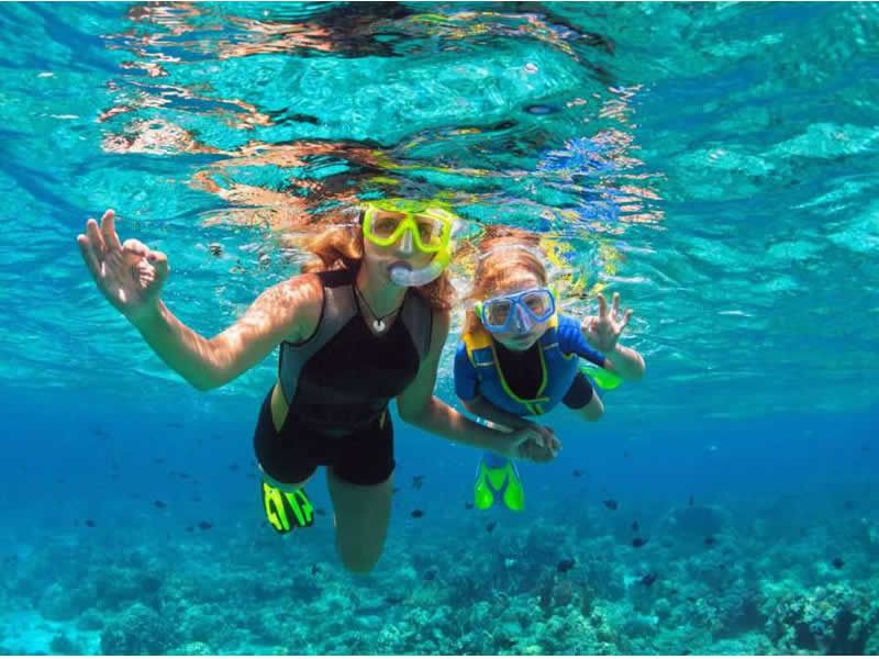 Morpho Mariposario Puerto Vallarta